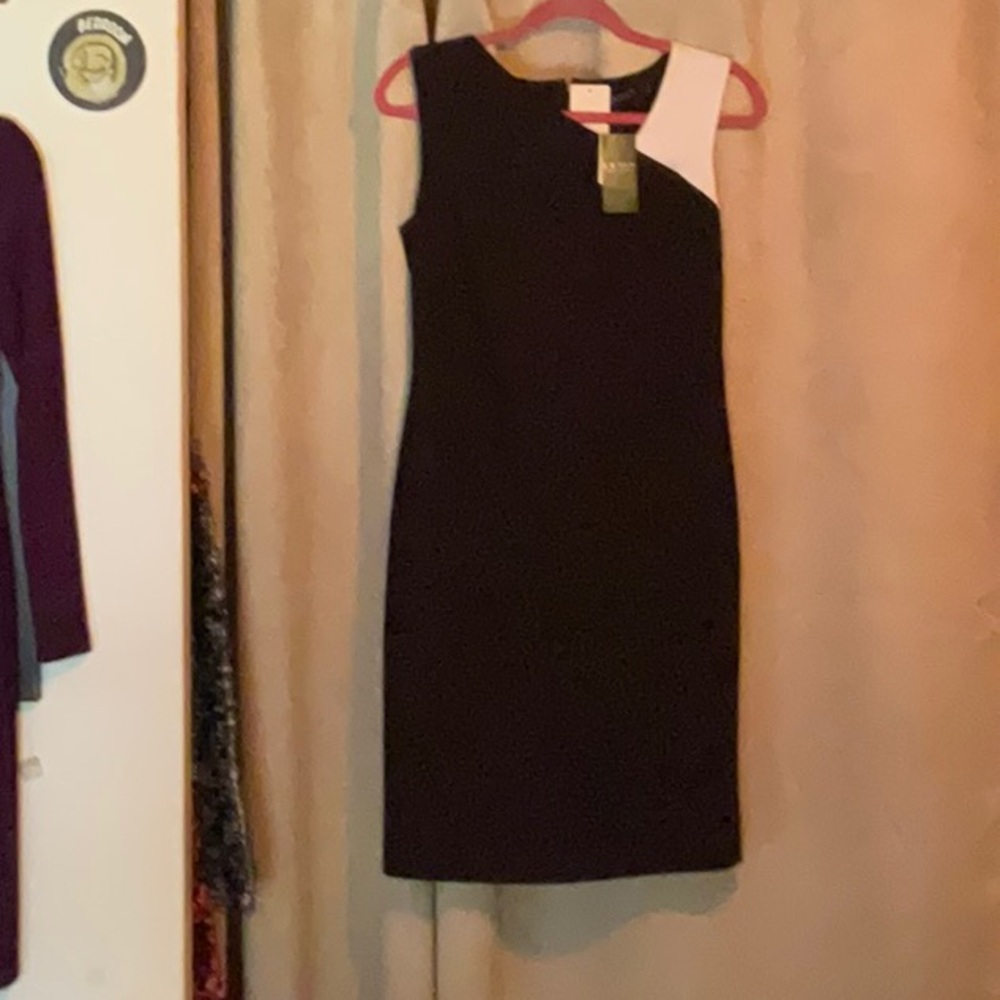 RALPH LAUREN Size 2 Classic Dress